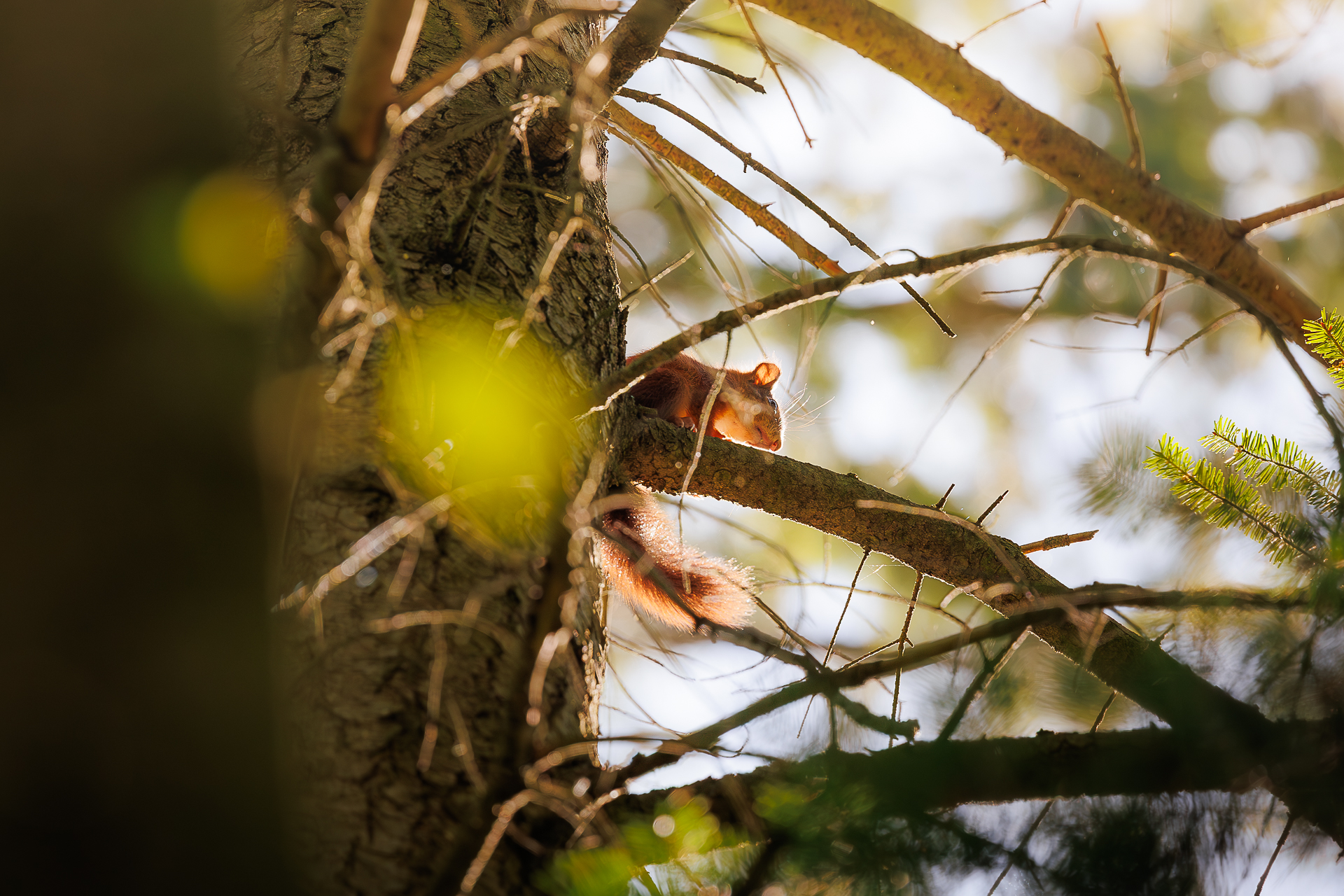 Einblick in die Galerie